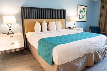 Business Room, 1 King Bed, Non Smoking
