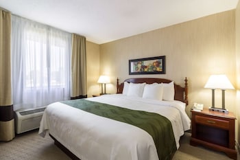 Suite, 1 King Bed, Non Smoking