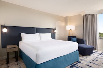 Standard Room, 1 King Bed, Accessible (Mobility, Accessible Tub)