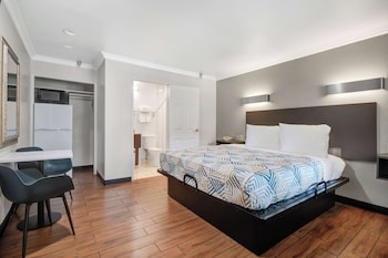 Deluxe Room, 1 King Bed, Non Smoking, Refrigerator & Microwave
