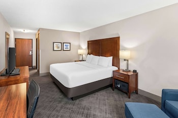 Standard Room, 1 King Bed, Non Smoking