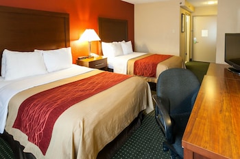 Standard Room, 2 Double Beds, Non Smoking