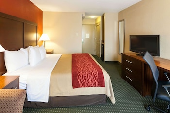 Standard Room, 1 King Bed, Non Smoking