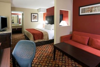 Suite, 1 King Bed, Non Smoking