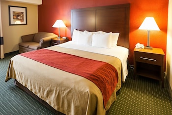 Standard Room, 1 King Bed, Non Smoking
