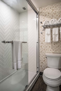 Suite, 1 Bedroom
