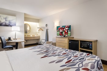 Superior Room, 1 King Bed (Smoke Free)