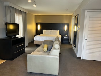 Studio, 1 King Bed with Sofa bed