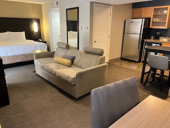 Studio, 1 King Bed with Sofa bed