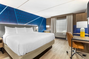 Room, 1 King Bed, Accessible, Non Smoking