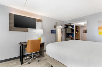 Standard Room, 1 King Bed, Non Smoking
