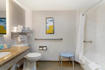 Suite, 1 King Bed with Sofa bed, Non Smoking