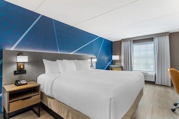 Standard Room, 1 King Bed, Non Smoking