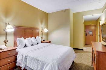 Room, 1 King Bed, Non Smoking