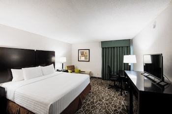 King Room. One King Bed