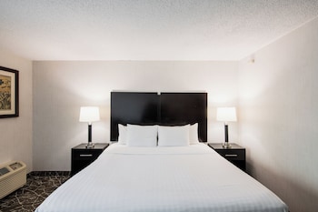 Room, 1 Queen Bed, Mobility Accessible