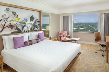 Deluxe Suite, 1 King Bed
