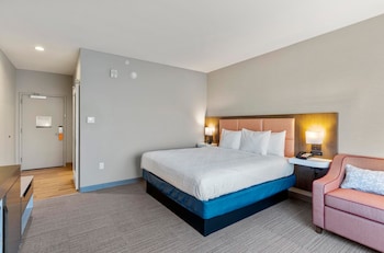 Room, 1 King Bed, Accessible, Non Smoking