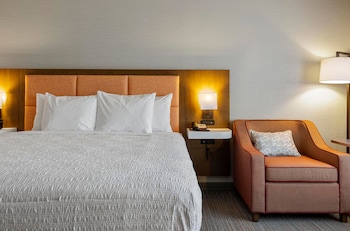 Room, 1 King Bed, Accessible, Non Smoking