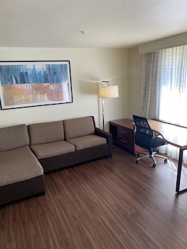 Studio, 1 Queen Bed with Sofa bed