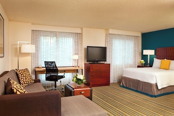 Studio, 1 Queen Bed with Sofa bed