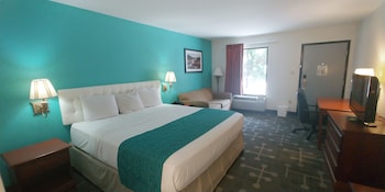 Room, 1 King Bed, Non Smoking