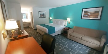 Room, 1 King Bed, Non Smoking