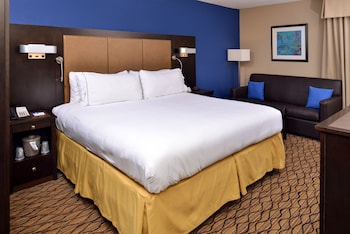 Standard Room, 1 King Bed with Sofa bed