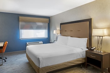Standard Room, 1 King Bed, Accessible (Roll-In Shower)