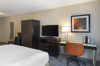 Standard Room, 1 King Bed, Accessible (Roll-In Shower)