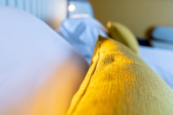 Deluxe Room, 1 King Bed, Non Smoking