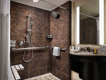 Room, Accessible (Roll-In Shower)
