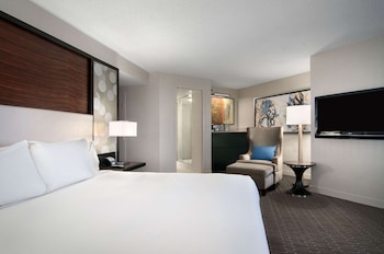 Mini suite, One King Bed