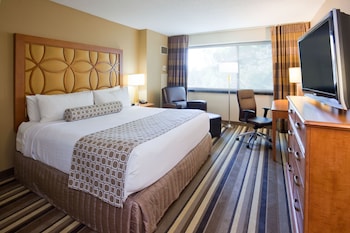 Standard Room, 1 King Bed