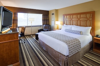 Standard Room, 1 King Bed, Accessible (Mobility, Roll-In Shower)