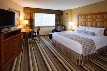 Standard Room, 1 King Bed, Accessible (Mobility, Roll-In Shower)