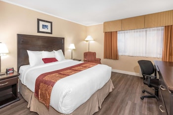 Room, 1 Queen Bed, Non Smoking