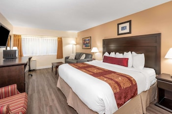 Room, 1 King Bed, Non Smoking