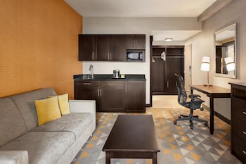 Suite, 1 King Bed