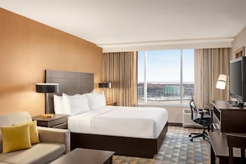 Room, 1 King Bed