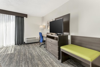 Standard Room, 1 King Bed, Non Smoking, Refrigerator & Microwave (Walk-in Shower)