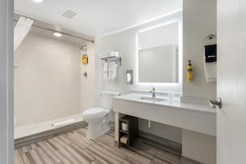 Standard Room, 1 King Bed, Non Smoking, Refrigerator & Microwave (Walk-in Shower)