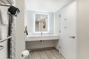 Standard Room, 1 King Bed, Accessible, Refrigerator & Microwave (Walk-in Shower)