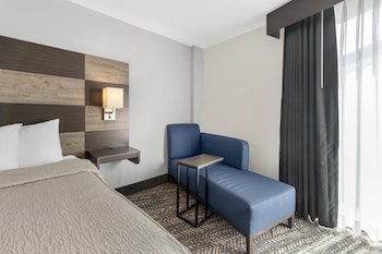 Standard Room, 1 King Bed, Non Smoking, Refrigerator & Microwave (Walk-in Shower)