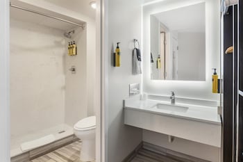 Standard Room, 1 King Bed, Non Smoking (Walk-in Shower;with Sofabed)