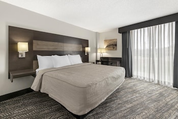 Standard Room, 1 King Bed, Accessible, Refrigerator & Microwave (Walk-in Shower)