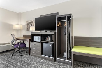 Standard Room, 1 King Bed, Non Smoking, Refrigerator & Microwave (Walk-in Shower)