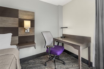 Standard Room, 1 King Bed, Non Smoking (Walk-in Shower;with Sofabed)