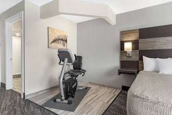 Standard Room, 1 King Bed, Non Smoking, Refrigerator & Microwave (Walk-in Shower)