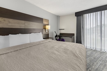 Standard Room, 1 King Bed, Non Smoking (Walk-in Shower;with Sofabed)
